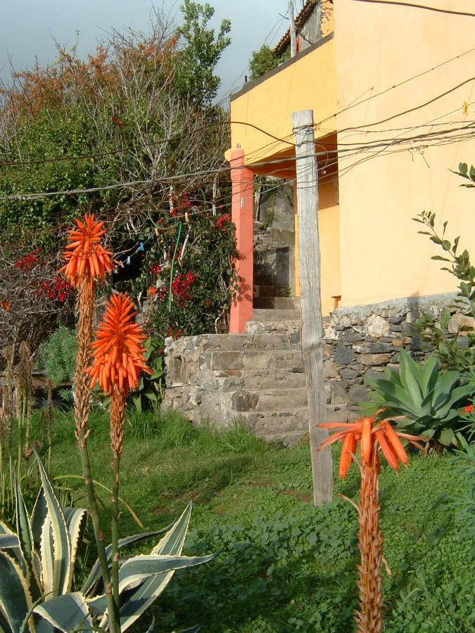 Madeira-Meerblick-Haus Estreito Da Calheta Экстерьер фото